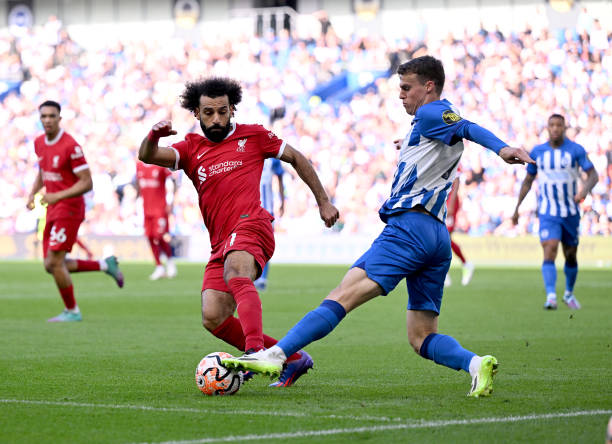 最耀眼的明 最耀眼的明