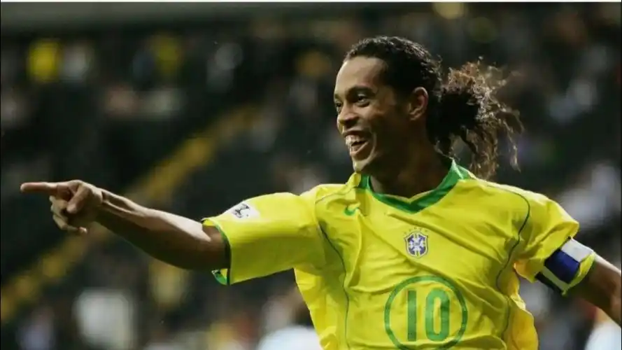 逐步构建起 逐步构建起