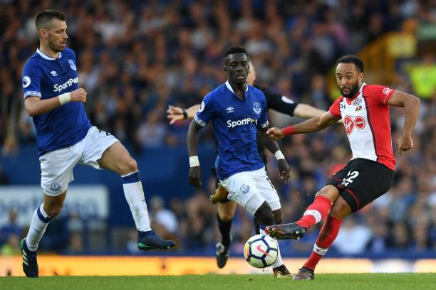 张玉宁领衔 张玉宁领衔