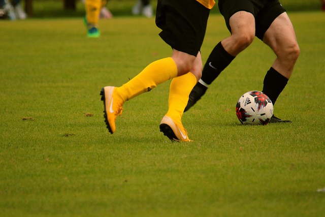 的心理状态 的心理状态