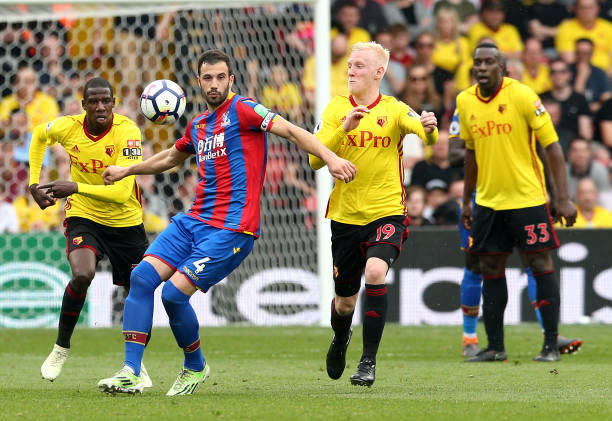 希望与活力 希望与活力